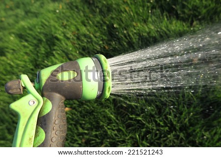 Watering fresh green lawn grass with an adjustable shower (spray) in the summer garden