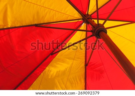 Giant red and yellow umbrella against a palm leaf in the botany garden