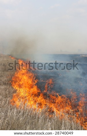 Fire line moving forwards - tongues of flame consuming meadow and forest