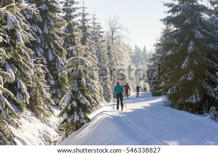 Similar – Image, Stock Photo Groomed ski trails for cross-country skiing in winter landscape in valley Studen, Switzerland famous for winter sport. Flat landscape is surrounded by mountains and illuminated by midday sun.