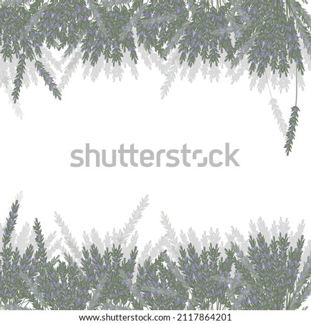 frame with delicat lavendel-twigs. frame for wedding invitations or greeting cards. Imagine de stoc © 