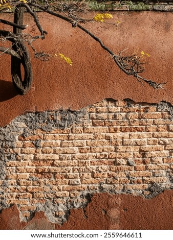 Similar – Image, Stock Photo Red bricks embedded in colorful cobblestones on a square in Bad Salzuflen near Herford in East Westphalia-Lippe, Germany