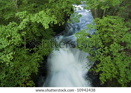 white water stream under green summer branches, taken on natural cascade of Ryuzu Waterfall, Nikko, Japan