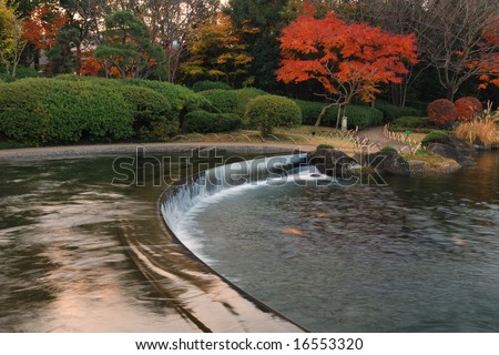 small waterfall and autumnal japanese maple tree in scenic japanese park