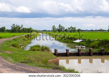 Water for irrigation canals , rice paddies , rice, green rice fields , Thailand.