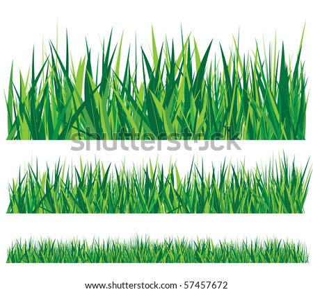 Row Of Grass Stock Vector 57457672 : Shutterstock