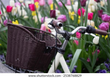 Image, Stock Photo bicycle handlebar, bike mode of transport