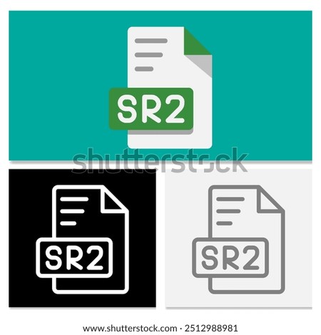 Rw2 document file format. Complete collection of flat file format icons for application design. Can be used for websites, UI and interfaces.