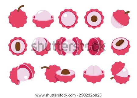 Set of Magenta Litchi, Farm fresh Litchi product emblem for grocery shop, Slides, long and cross sections, and different positions, simple flat vector illustration of vegetables and fruits.