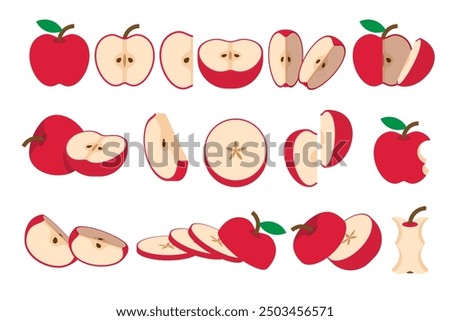 Set of Red Apple, Farm fresh Apple product emblem for grocery shop, Slides, long and cross sections, and different positions, simple flat vector illustration of vegetables and fruits.