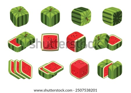 Set of Square watermelon, Farm fresh watermelon product emblem for grocery shop, Slides, long and cross sections, and different positions, simple flat vector illustration of vegetables and fruits.
