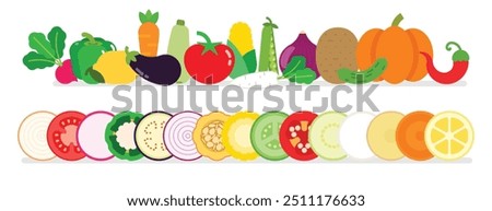 A set of full fresh vegetables, Slice of Carrot, corn, cucumber, Daikon, Eggplant, Hot pepper, Lemon, peas, Pumpkin, Radish, Red Onion, Potato, Tomato, Onion, zucchini, simple flat vector illustration