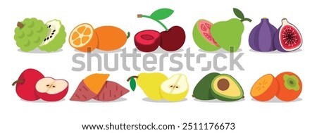 A set of Split Fruits, Annona, Kumquat, Cherry, Guava, Fig, Apple, Sweet potato, Pear, Avocado, Persimmon, simple collection flat vector illustration.