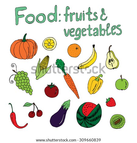 Food: fruits and vegetables, linear colored illustration on white background. Vector