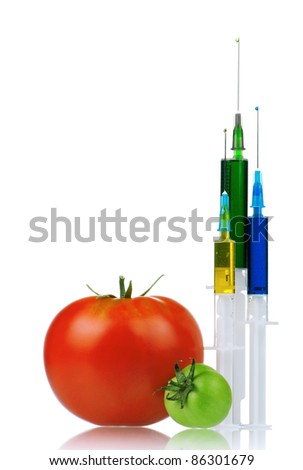 Genetically modified organism - ripe tomato with syringes on white background