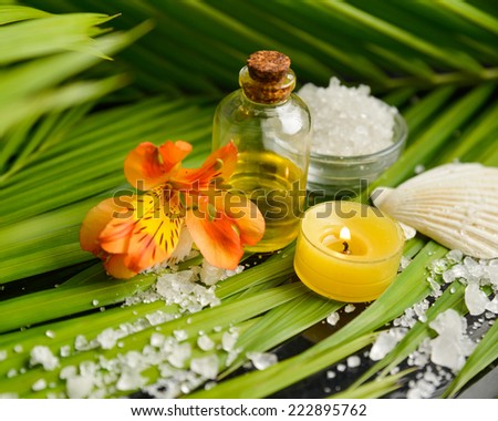 Many white salt and massage oil ,shell ,salt in bowl, orchid on green palm leaf
