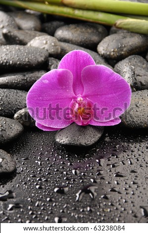 Spa still life with macro of orchid and zen stones on water drops
