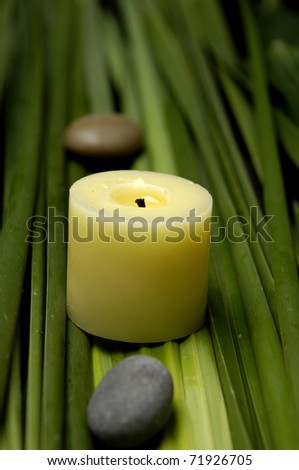 Green Spa-burning candle and stone on green spring plant background.