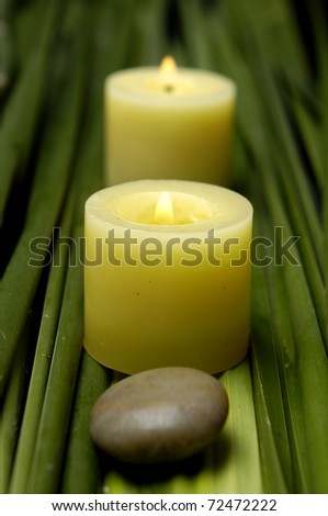 burning candle and stone on green spring plant