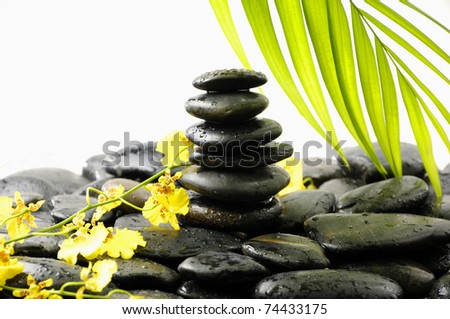 Branch yellow orchid and stones stack in balance with palm leaf