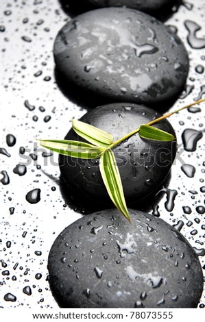 Row of zen stone and bamboo leaf with water drops