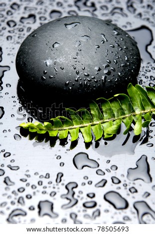 Still life green fern with stones in water drops