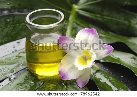 Beautiful orchid and massage oil on green leaf in water drops