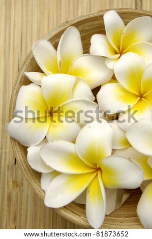frangipani flowers in bowl on wooden background