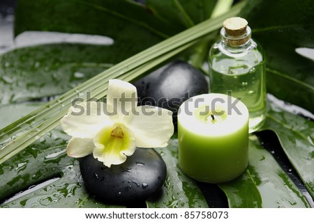 white orchid and bottle of massage oil and candle on green wet leaf