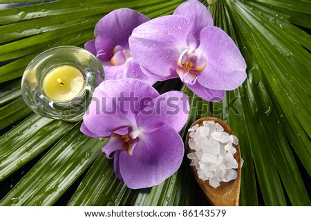 Branch yellow orchid and candle with salt bath in spoon on palm