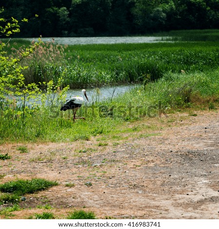 Similar – Image, Stock Photo a stork nest somewhere in Brandenburg