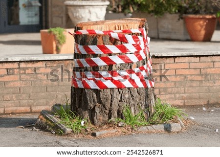 Similar – Image, Stock Photo Cut tree with barrier tape in park