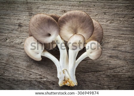 Non-toxic mushrooms brown and white on a wooden floor as raw material for cooking.