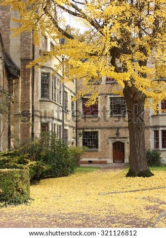 Park in Paris, yellow falling leaves in autumn.