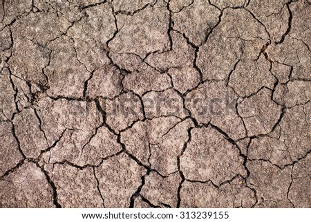 Dry Earth Texture from drought
