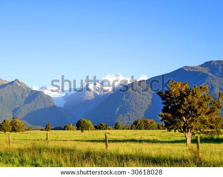 Evening light over a grassy field in front of Mount Cook and Mount Tasman, New Zealand
