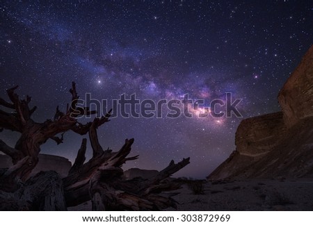 The Galaxy.\
The Milky Way over the Negev desert.