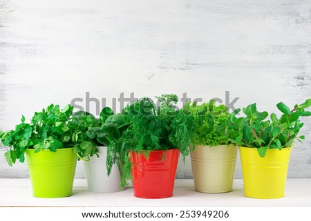 Bunches of flavoring greens, lettuce and spinach in colorful metallic buckets on rustic wooden background.