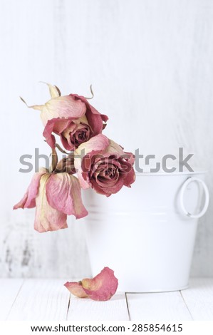 Dried pink roses in white bucket on rustic wooden background. Shallow DOF, focus on front rose.