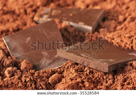 Pieces of dark chocolate close-up in cocoa powder. Shallow DOF.