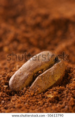 Close-up of coffee bean in ground coffee. Selective focus on foreground.