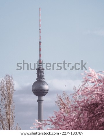 Similar – Image, Stock Photo Cherry blossom in Berlin at the Fliegeberg