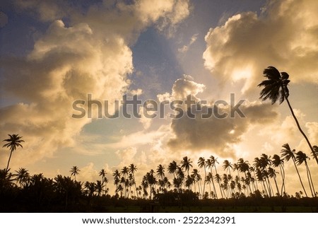 Similar – Image, Stock Photo Sunset at San Andres Island