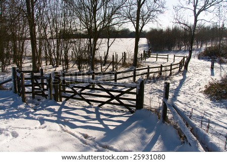 Snowy scene with trees, fences and gate, Thorndon Country Park