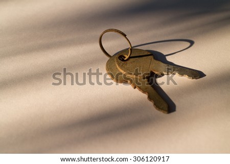 Two key with ring capture in after noon light