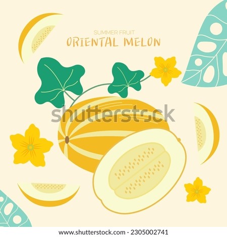 Summer, tropical fruit series melon