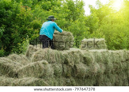 Similar – Image, Stock Photo Making hay