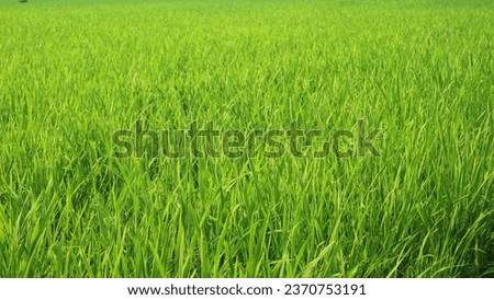 Similar – Image, Stock Photo Irrigation Long shot