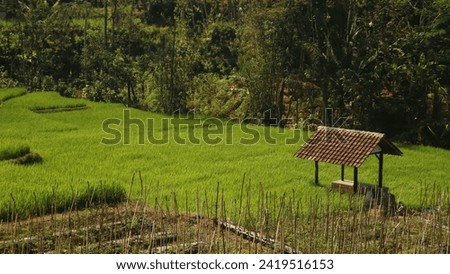 Similar – Image, Stock Photo Irrigation Long shot