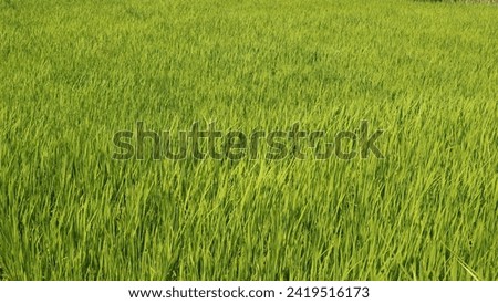 Similar – Image, Stock Photo Irrigation Long shot